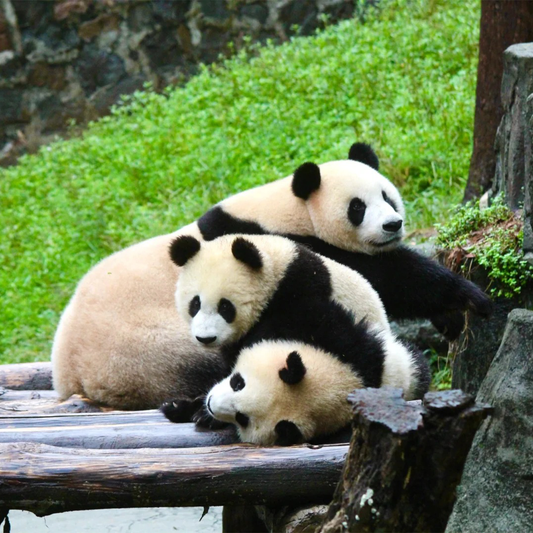 Guilin 3-Day Private Tour | English Guide + Private Car + 4-Star Hotel