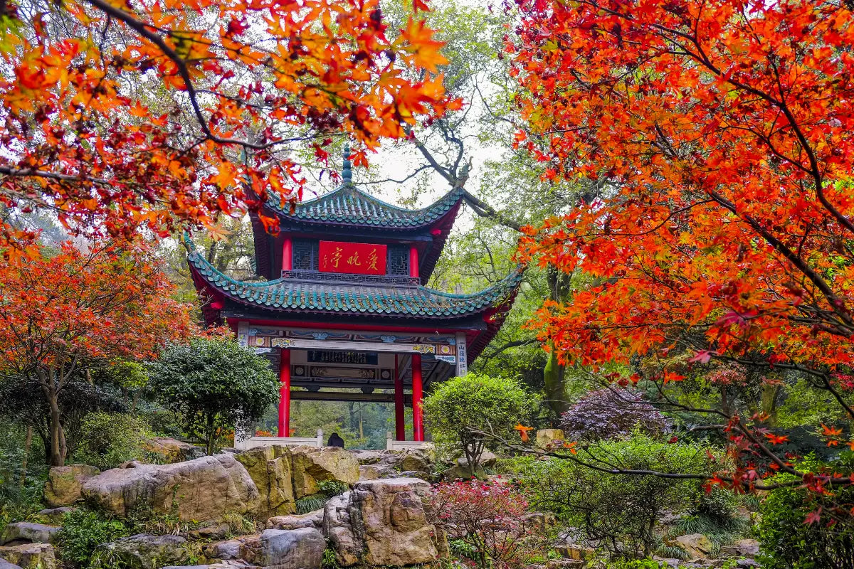 4 Day 3 Night, 2-D Xiangya Hospital Medical Support + 2-D Changsha Leisure Itinerary (English Service, Private tour, Relaxed Pace)