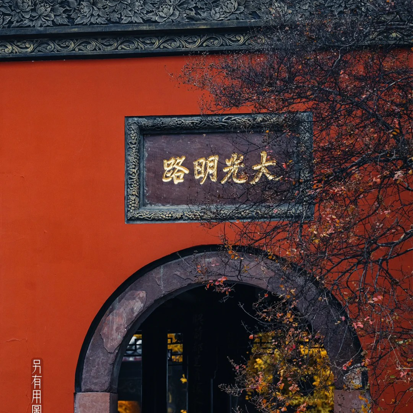 成都魅力文化一日游：熊猫与都市活力的融合（8小时精华版）