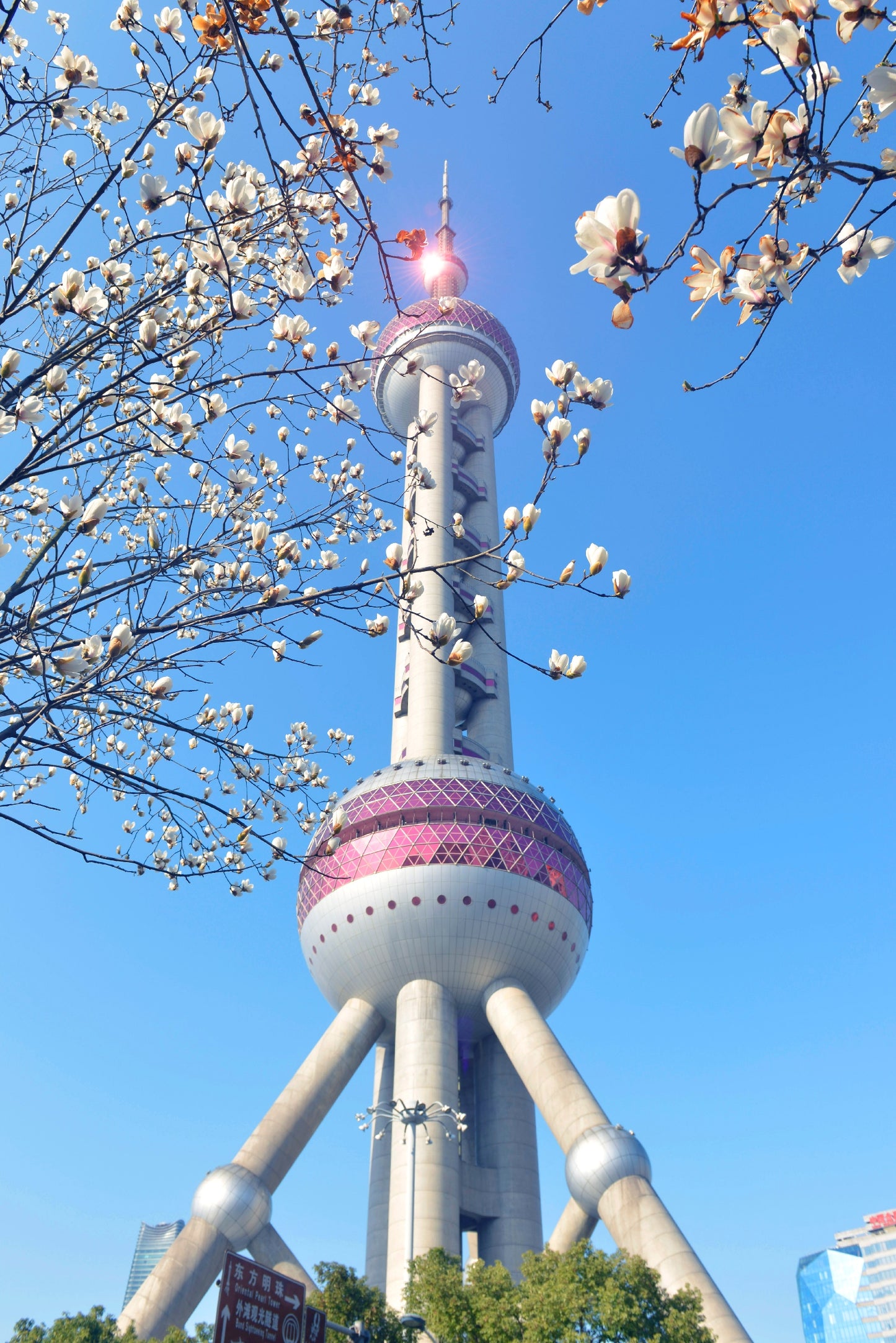 Shanghai - Hangzhou Twin - City: 4 - Day, 3 - Night Deep - Dive Customized Itinerary