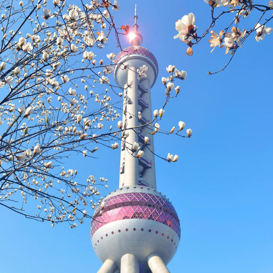 Shanghai - Hangzhou Twin - City: 4 - Day, 3 - Night Deep - Dive Customized Itinerary