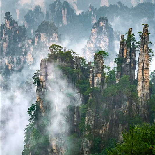 8-Day Xiangya Hospital Service + Zhangjiajie Forest Wellness Travel(Slow Pace, Private Tour, Full English Service)